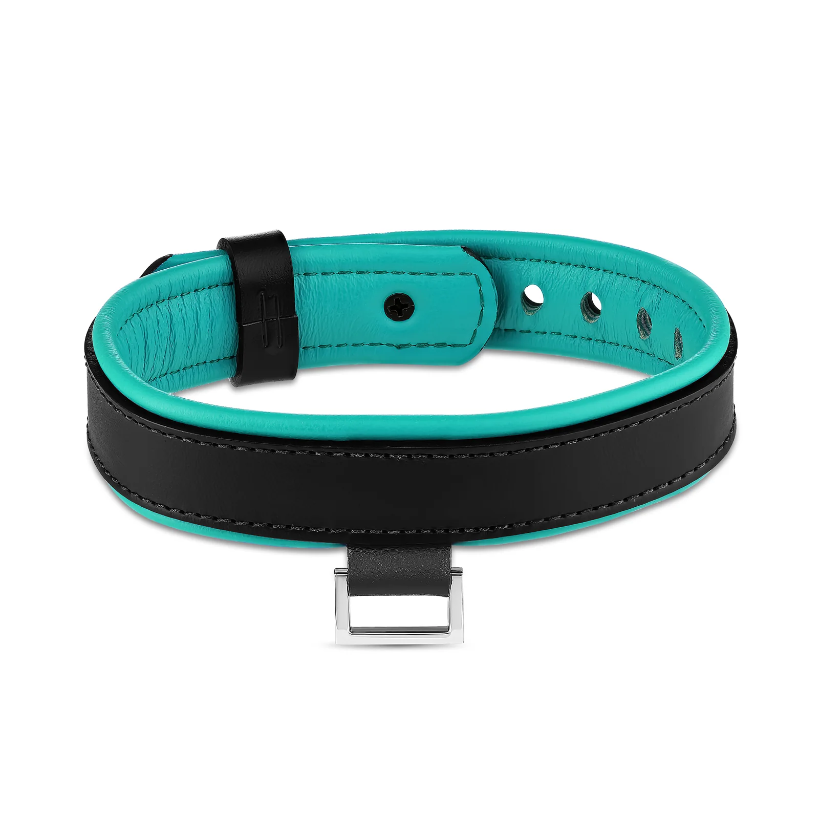 Leather Collar with Horizontal Ring - Image 14