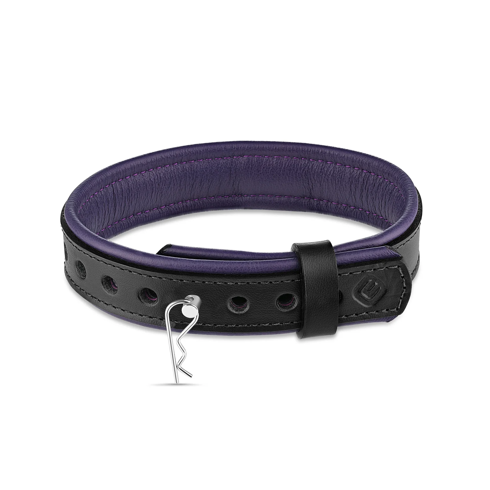Leather Collar with Horizontal Ring - Image 6